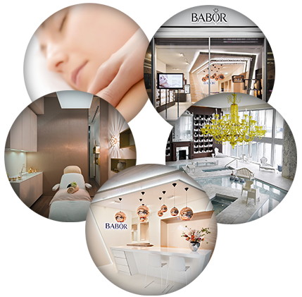 The BABOR partner